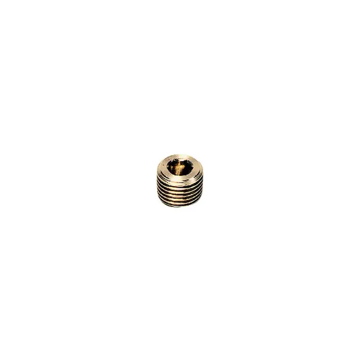 Legris 02051400 1/4 NPT Internal Hex Head Plug