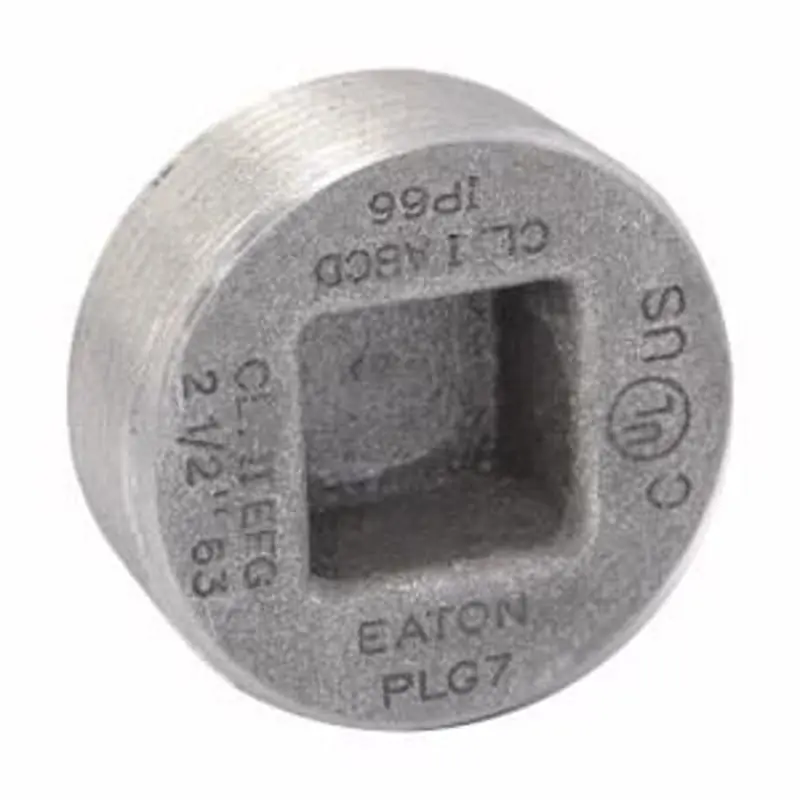 Multiple PLG3 1IN Recessed Head Plug