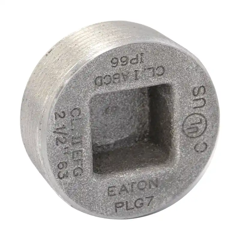 Multiple PLG2 3/4IN Recessed Head Plug