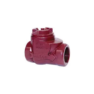 BALON 2F-D92-SE D Series Top Entry Swing Check Valve, 2 in Nominal, Thread End Style