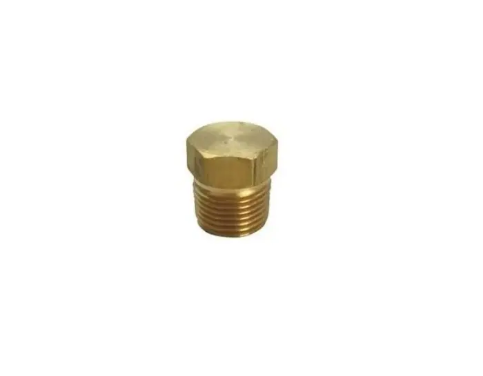 Schneider Electric M-101 1/8 in. MPT Pipe Plug