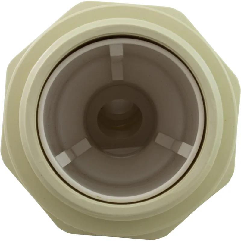 Pentair JVW3 Jet Vac Wall Fitting Only 1-1/2
