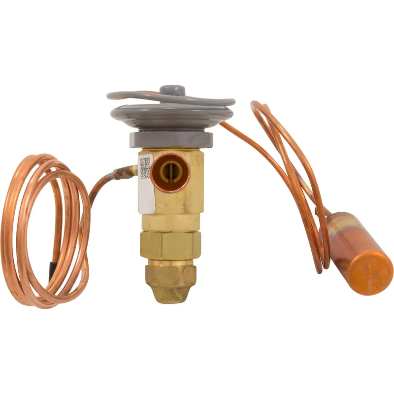 Pentair 473999 UltraTemp 98PSIG Thermostatic Expansion Valve