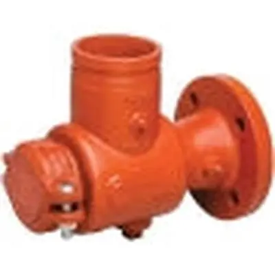Victaulic CE90731DEN 6 x 5 in Suction Diffuser