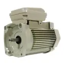 Pentair 354817S Motor Pentair WF/WFXF 3HP 208/230V Replacement MPN