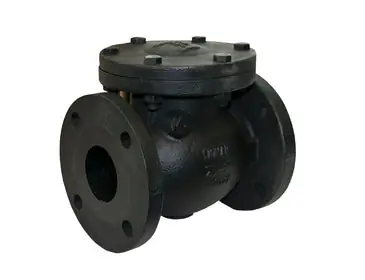 Jomar 105-725 C.I. Swing Check Valve Class 125