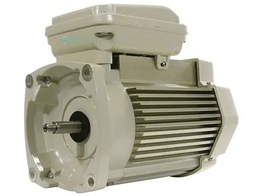 Pentair 354805S Motor Square Flange Energy Efficient