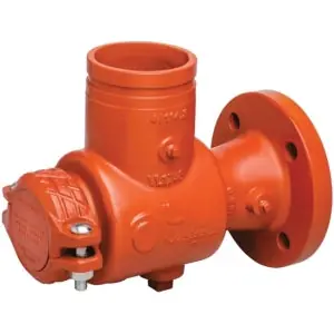 Victaulic CE79731DEN 6 x 4 in. Suction Diffuser