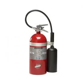 Buckeye 45600 Portable Fire Extinguisher 10 lb