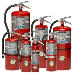 Buckeye 11341 Portable Fire Extinguisher 10 lb 4A:80B:C