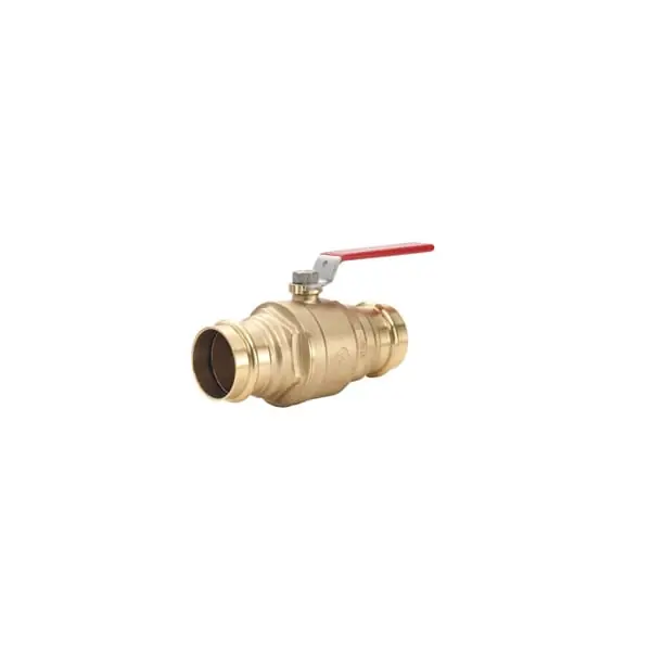 Legend Valve 101-011NL 4 P-200 LEGEND-PRESS NL BV