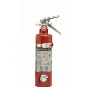 Buckeye 13415 BC Portable Fire Extinguisher 2.5 lb