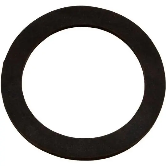 Pentair 070942 P10925 Gasket Flange 120-400 Old