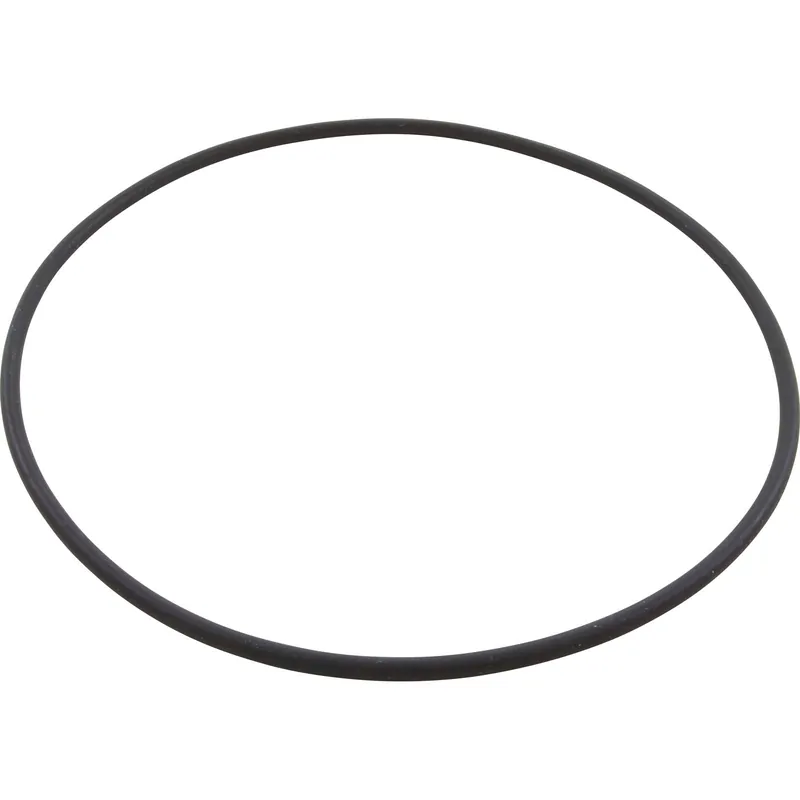 Speck Pumps 2901441220 O-Ring, Speck 72/Badu EcoMV, Body