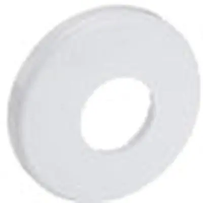 Pentair 542049 Escutcheon, White Plastic