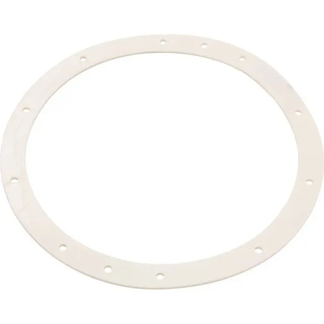 FW Enterprises SG400 Gasket 10 Hole Light Niche 10-1/2ID 12-3/8OD
