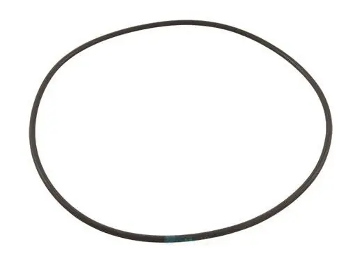 Hayward HCXP6016A Pump Flange O-Ring