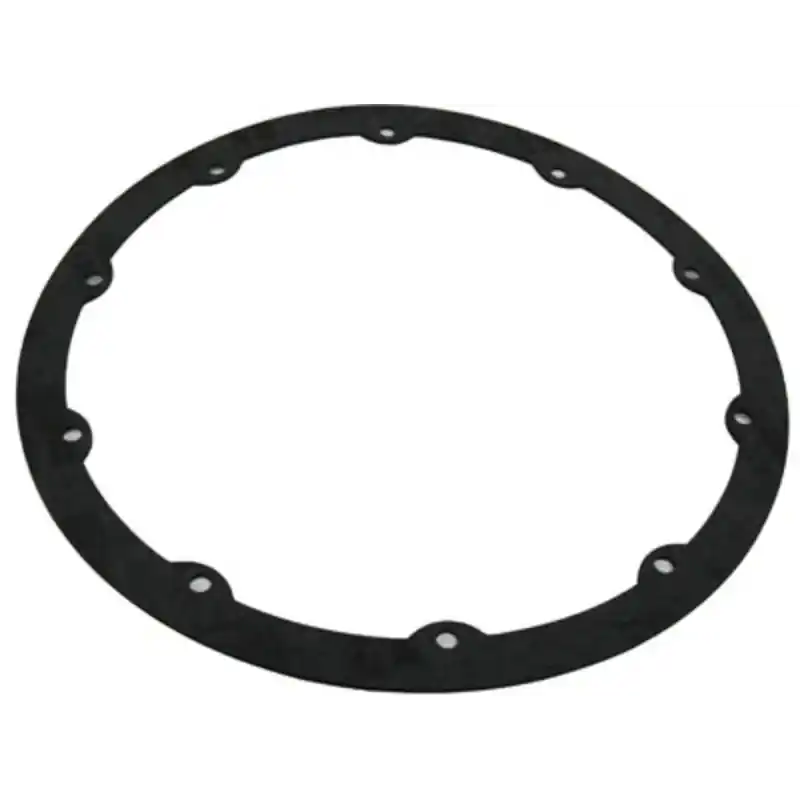 Pentair 630025 Niche Quick Gasket