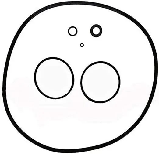 Jandy R0466300 O-Ring Kit, Zodiac Jandy CS Series