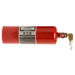 Buckeye 82021 Mini-Guard 20 lb Class ABC Steel Automatic Spot Protection