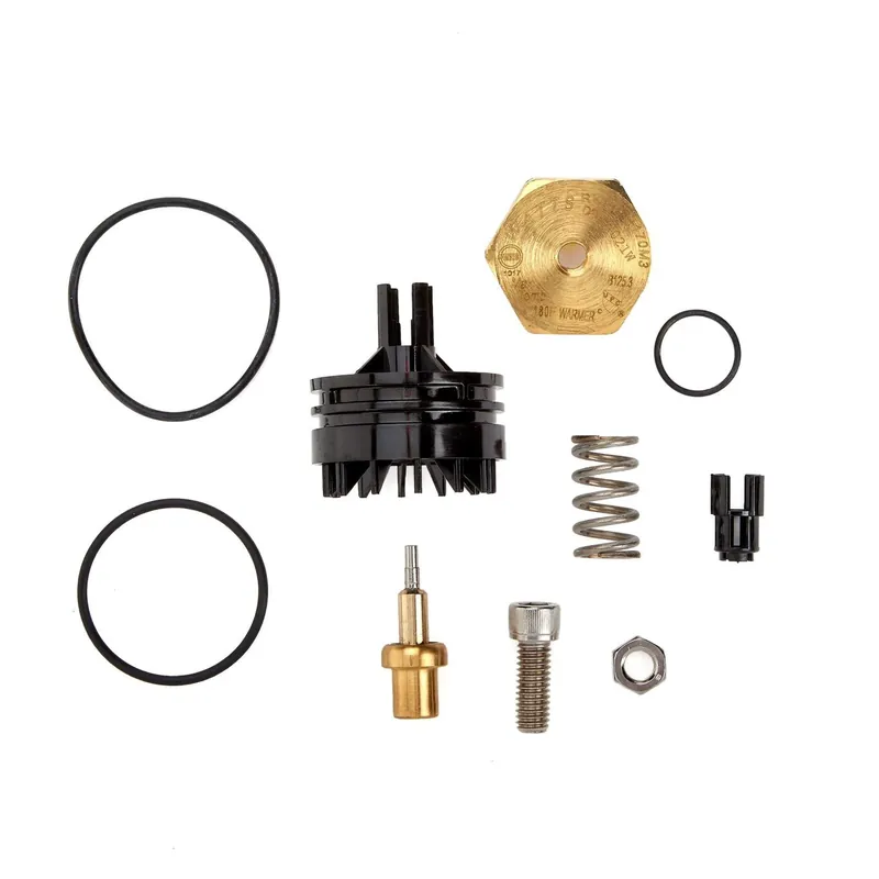Watts 0887490 RK LFN170M3 3/4-1 Repair Kit