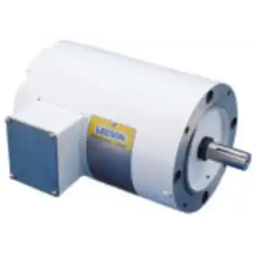 Leeson 113023.00 AC Three Phase Washguard Motors