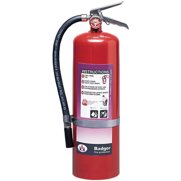 Badger 23778 Fire Extinguisher 10 lb Purple K