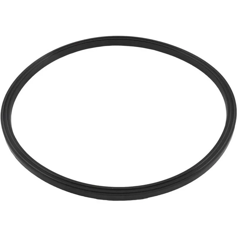 Jandy R0487400 Jandy Sand Filter Lid Seal O-Ring