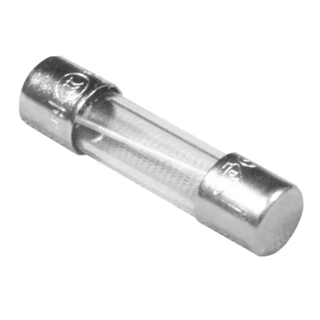 Balboa Water Group 26905 Fuse Slo Blo 0.5A 250v