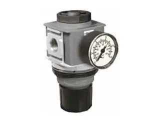 Parker P33RA96BNGP P33 Standard Global Modular Regulator