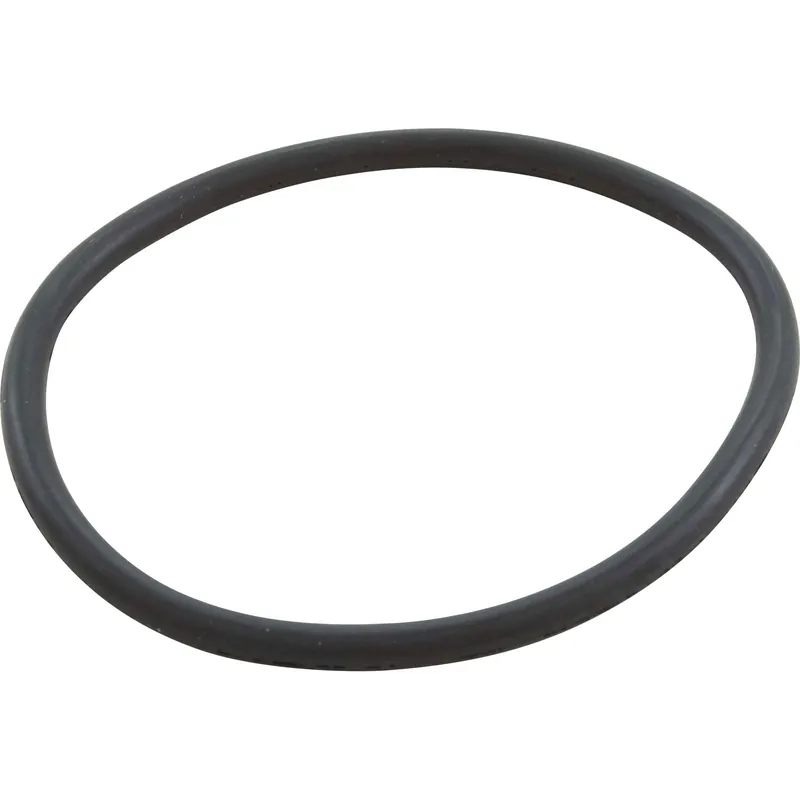 Speck Pumps 2923141210 O-Ring 21-80 All Models 4 Adapter