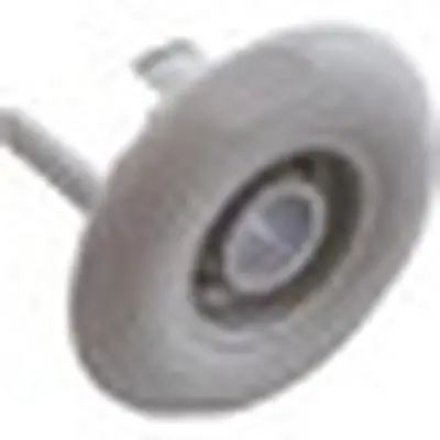 Balboa Water Group 941881 Jet Intl, BWG Luxury Micro, 2-1/2fd, Directional
