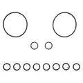 Jandy R0552400 O-Ring Kit Zodiac Jandy NeverLube Backwash Valve