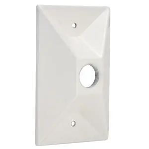 Raco 5186-1 Powder Coated Die Cast Aluminum 1-Gang Rectangular Cluster Cover 2.844 Inch x 1.063 Inch x 4.594 Inch