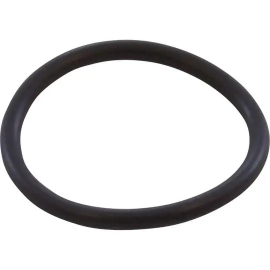 Balboa Water Group O-018E70 O-Ring Standard Air Control