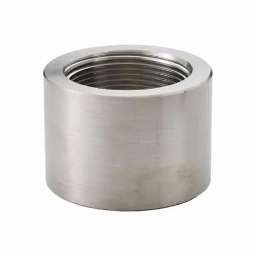 Merit Brass 3616D-04 Pipe Cap, 1/4 in, FNPT, 3000 lb, 316/316L Stainless Steel, Import