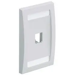 PANDUIT CFPE1BLY Faceplate 1Pt SglGang Exec BL EA