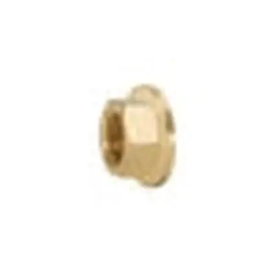 Caleffi 31553FD Tailpiece Power 1 in Replacement MPN