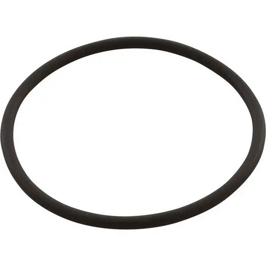 Waterway Plastics 805-0133B O-Ring #133 Gunite