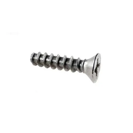 Pentair 516239 Screw #12-8x1 SS Face Plate