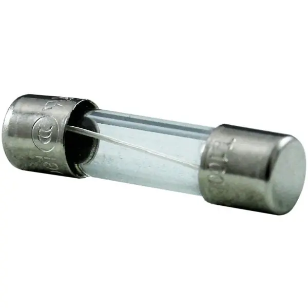 Balboa Water Group 24514 Fuse Slow Blo BP100 0.1A 250V 5mm x 20mm