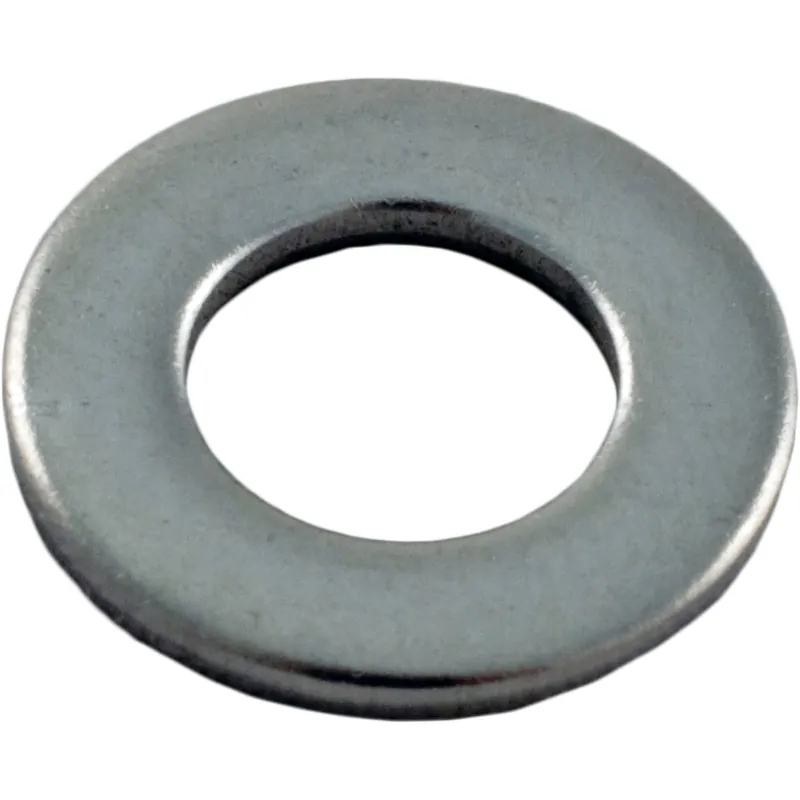 American Products 51008500 Washer Pentair AmProd UltraFlow/EQ Series Flat 1/4