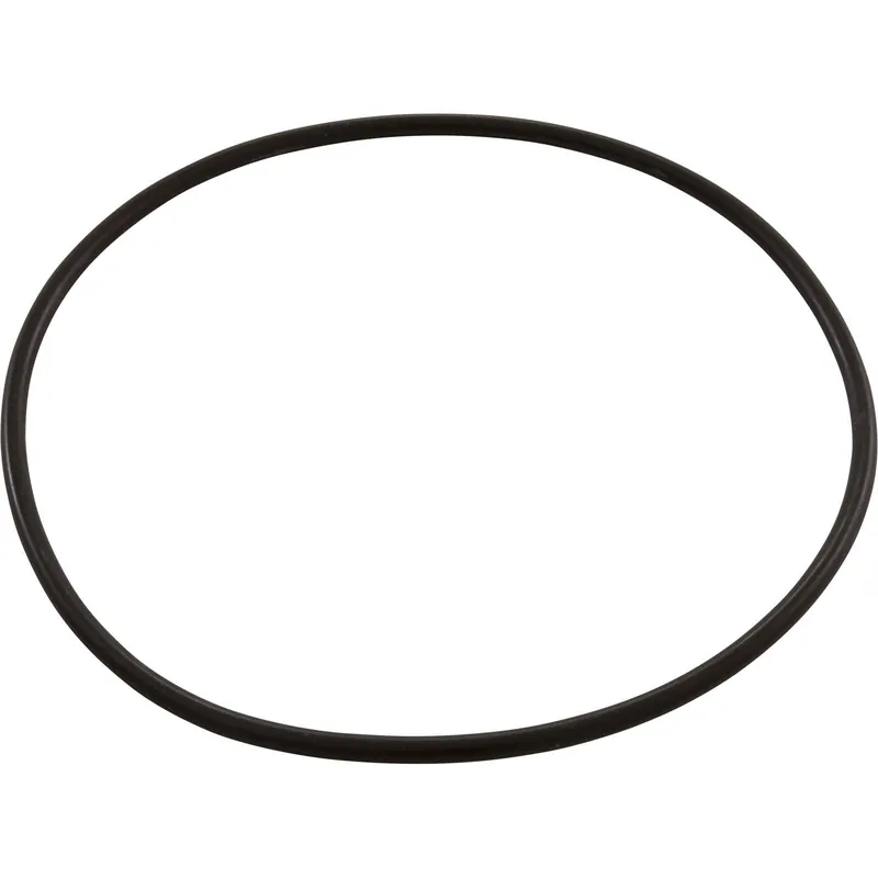 Hayward HCXP6025A O-Ring