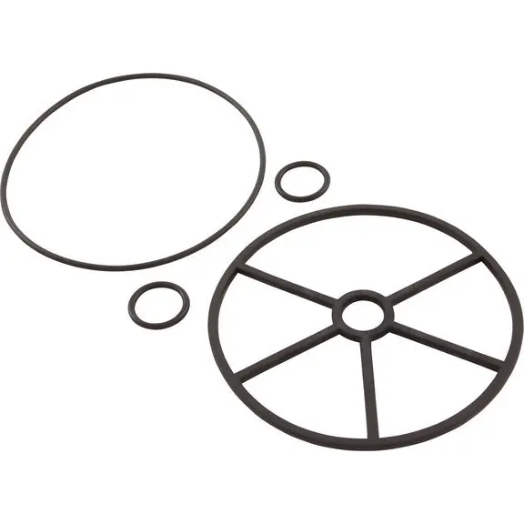 Astral Products 4404120107 Gasket Astral Selector Valve Power 1-1/2 Replacement MPN