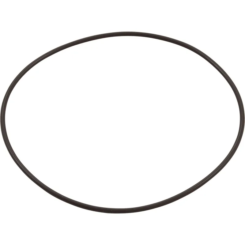 Astral Products 4405020139 O-Ring Astramax Pump Suction Cover