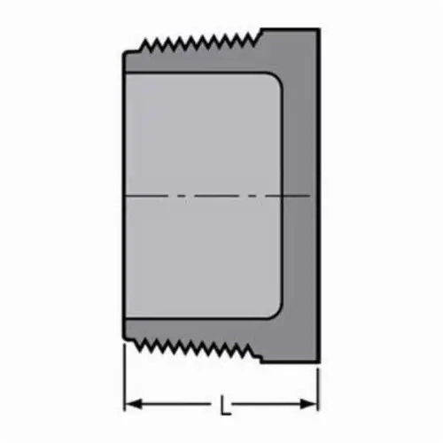 Spears 850-020C 2 CPVC Plug MPT SCH80