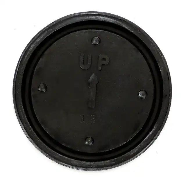 Little Giant 108125 Diaphragm Switch, Automatic