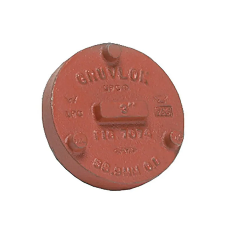 Gruvlok GVLF-7074T-250-PNTD 2-1/2 Cap - Painted - GR
