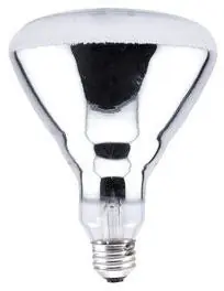 Sylvania 250BR40/1-120V Heat Lamp